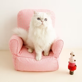 cat sofa bed